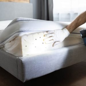 Bed Bug Removal 2_11zon