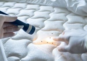 Bed Bug Removal 4_11zon