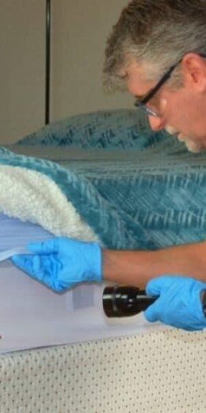 Bed Bug Removal Service Cost in Fort Wayne IN