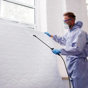 Commercial Bed Bug Removal Services in Fort Wayne IN