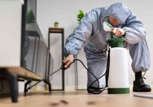 Rodent Pest Control 5_11zon